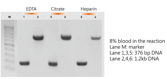 Blood Direct PCR